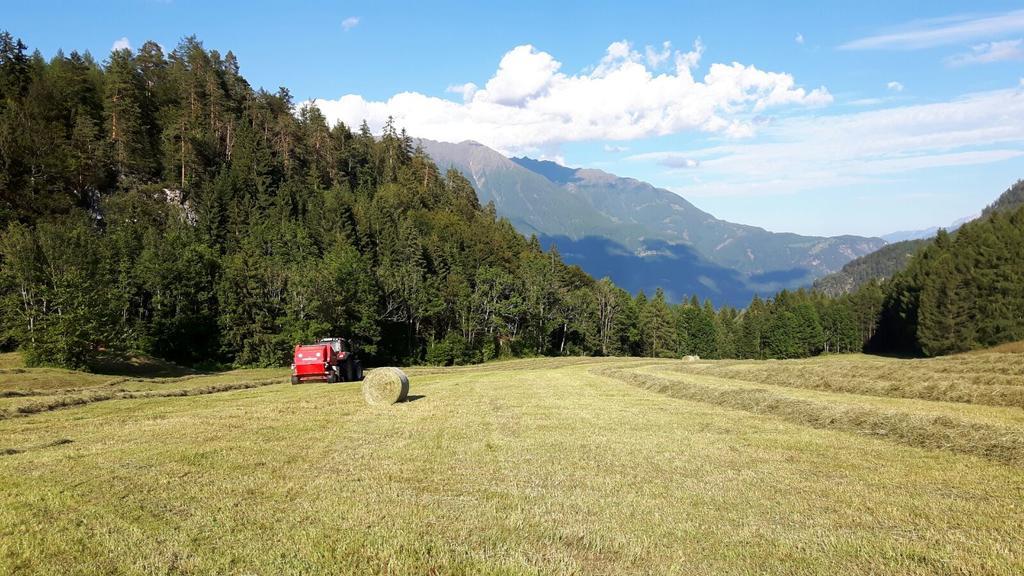 Отель Landgasthof Kreithof Tristach Экстерьер фото